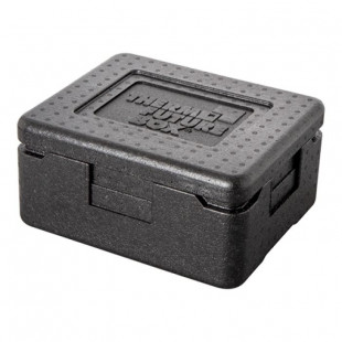 ELEMENT CHAUFFANT MINI 60°C MAX THERMO FUTURE BOX dans THERMO FUTURE BOX