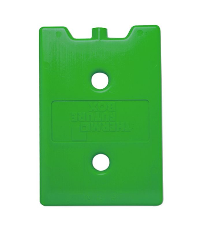 ELEMENT CHAUFFANT MINI 60°C MAX THERMO FUTURE BOX dans THERMO FUTURE BOX