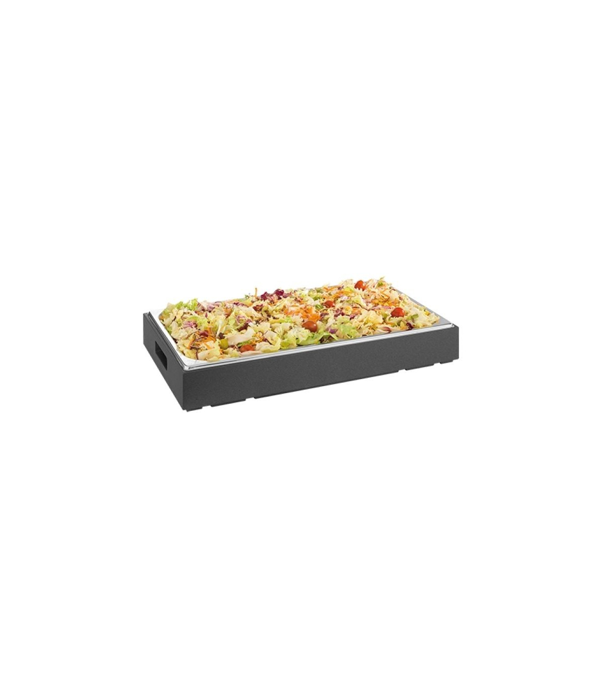 PLATEAU DE BUFFET / PLATEAU GN1/1 PUJADAS dans PLATEAUX