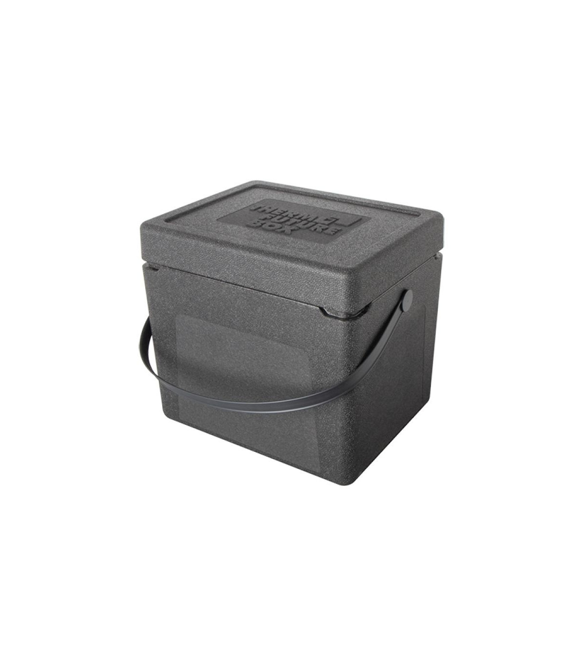 BOITE A PROVISIONS 33LT THERMO FUTURE BOX dans BOX ISOTHERMES