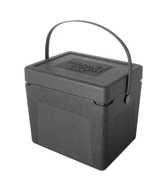 BOITE A PROVISIONS 33LT THERMO FUTURE BOX dans BOX ISOTHERMES