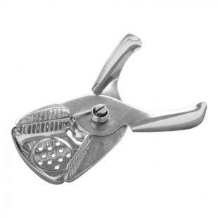 PRESSE CITRON dans PRESSE AGRUMES