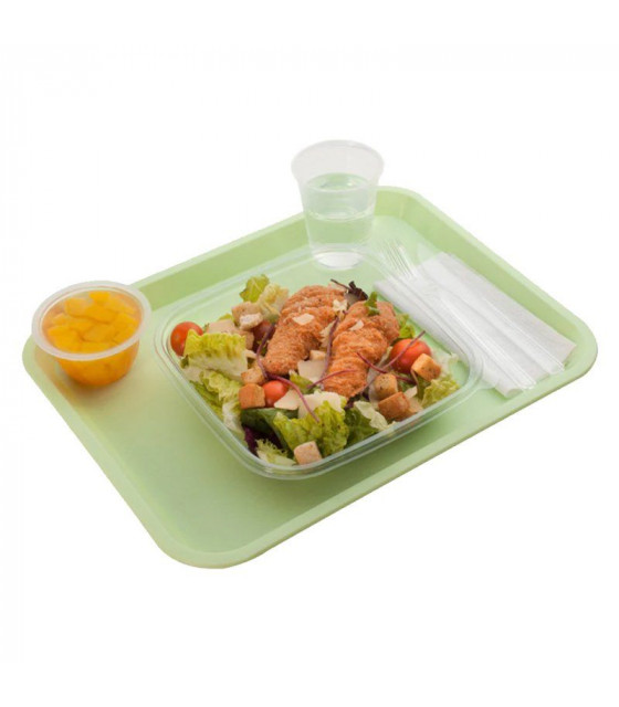 PLATEAU FAST FOOD ANIS 35X27.2CM PLATEX dans PLATEAUX