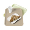 PLATEAU FAST FOOD SABLE 35X27.2CM PLATEX dans PLATEAUX