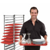 PLATEAU 400X600 MM ROUGE PLATEX dans PRESENTATION