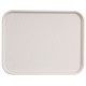 PLATEAU BASIK GRIS FUME 32.5X26.5CM GN1/2 PLATEX