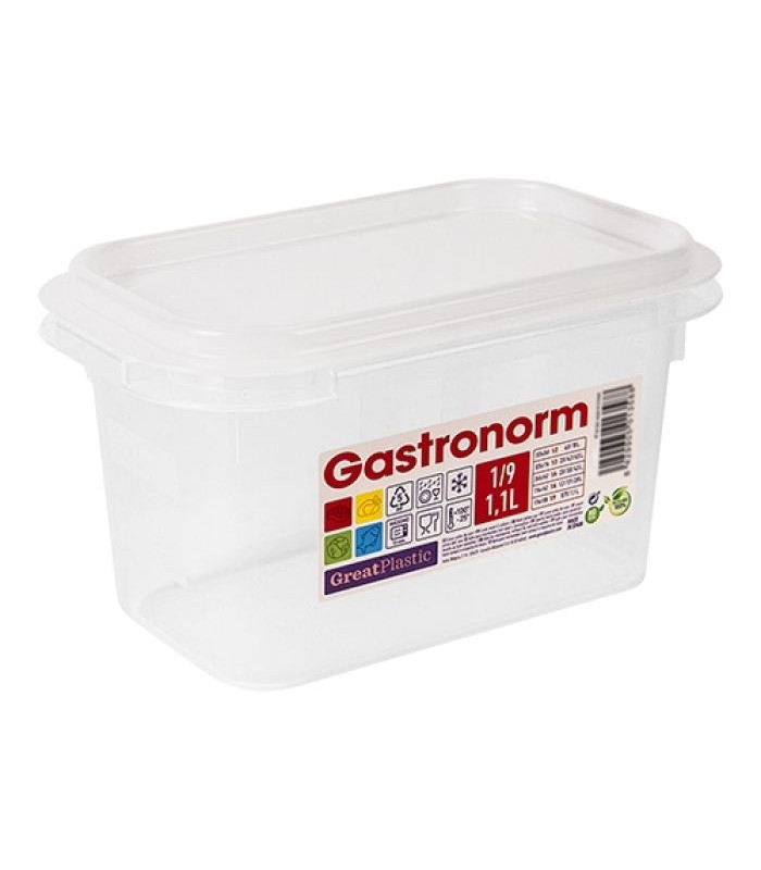 BOITE A ALIMENTS GN1/9 H100MM GREATPLASTIC dans BOITES DE CONSERVATION