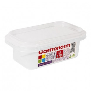 BOITE A ALIMENTS GN1/9 H65MM GREATPLASTIC dans BOITES DE CONSERVATION