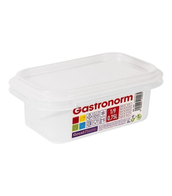 BOITE A ALIMENTS GN1/9 H65MM GREATPLASTIC dans BOITES DE CONSERVATION