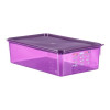 BOITE DE CONSERVATION ANTI-ALLERGIQUE GN1/1 MAUVE + CLIP H150MM ARAVEN dans BOITES DE CONSERVATION