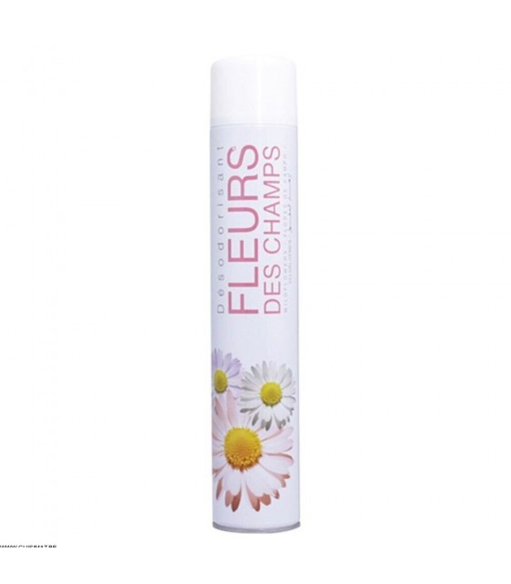 DESODORISANT AEROSOL - ODEUR FLEURS DES CHAMPS 750ML dans SANITAIRE